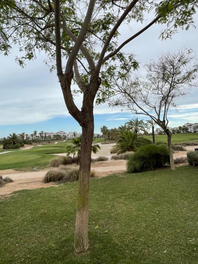 Apartamento De Lujo En Planta Baja Con Piscina En La Torre Golf Resort Roldán Exteriör bild